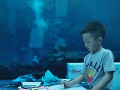-海棠湾洲际-涛·海底餐厅·美人鱼·自助餐·海底隧道