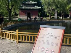 -隆兴寺