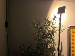 -ibarrel爱杯·bistro&brunch(江宁路店)