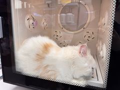 -FAELING PETS美天灵宠物(富力广场店)