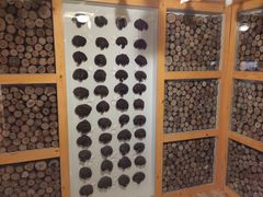 -菲拉拉漫温泉(东环路店)