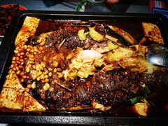 重庆豆花烤鱼-探鱼·鲜青椒爽麻烤鱼(朝阳悠唐广场店)