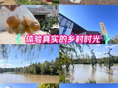 -上海长兴岛郊野公园