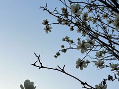 -贵阳市花溪国家城市湿地公园