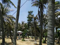 -东海岛旅游度假区