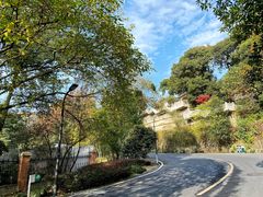 -西湖风景区十里琅珰-五云山