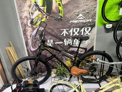 -道路口单车爱瓦士dahon大行