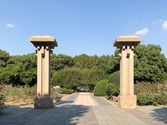 -红梅公园