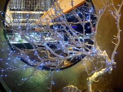 -红辣椒·川菜·火锅(张杨路店)