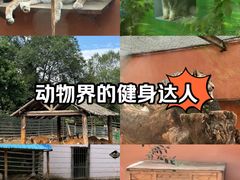 -青藏高原野生动物园