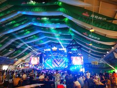 -第35届青岛国际啤酒节