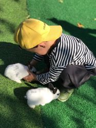 -萌宠亲子动物乐园(槐房万达店)