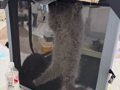 -成都银泰城