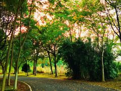 -梁鸿国家湿地公园