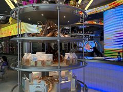-TD66高山铁皮石斛养生茶饮