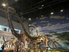 -自贡恐龙博物馆
