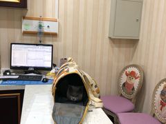 -宠爱国际动物医院·疑难骨科·心肾内科·皮肤科(太阳宫店)