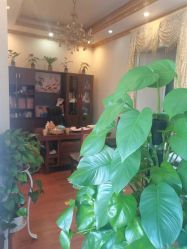 -清雅诗韵丽人产后恢复(回龙观店)