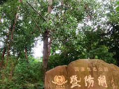 -暨阳湖生态园