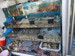 -北戴河庆山饭店·海鲜砂锅粥(北戴河黑石路店)