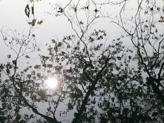 -苏堤停车场