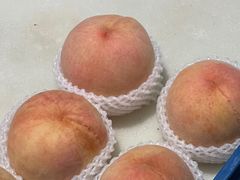 -老袁家蜜桃农场·阳山水蜜桃