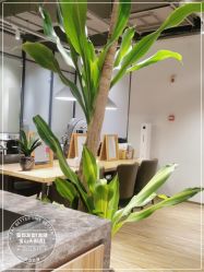 -Mentor Hair Salon