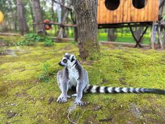 -哈尔滨北方森林动物园