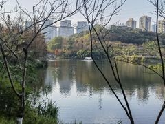 -重庆彩云湖湿地公园