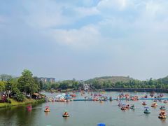 -枫香湖儿童公园