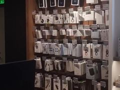 -sundanpulse顺电·脉(海岸城购物中心店)