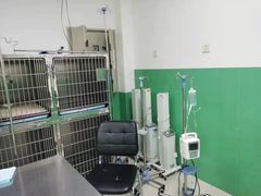 -利又安动物医院··老年病·猫科犬科·中兽医