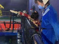 -沈阳海洋探索中心