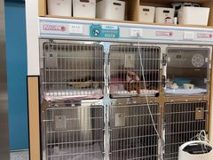 -瑞派康怡24h宠物医院·犬猫医疗中心·微创绝育(瑞景分院)