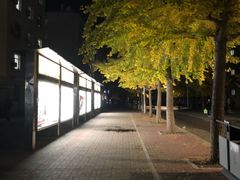 -东北大学(南湖校区)