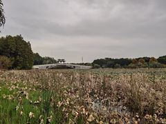 -东湖落雁景区