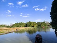 -溱湖国家湿地公园