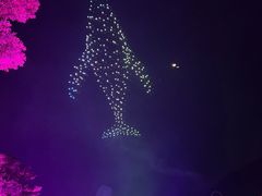 -珠海长隆海洋王国