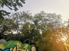 -九龙公园
