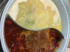 -青瓷火锅料理(西单大悦城店)