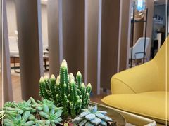 -北京盈之宝宝马&MINI4S店(望京店)