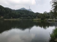 -六里坪国家森林公园