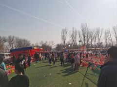 -五环公园