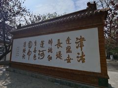 -桃花堤公园