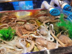 -V-ONE西雅图海鲜自助餐厅(仓山万达广场店)