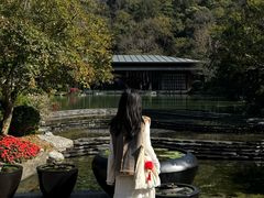 -云溪植物园