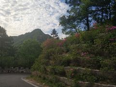 -木兰云雾山
