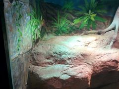 -福州罗源湾海洋世界旅游区