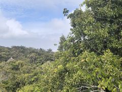 -亚龙湾海底世界