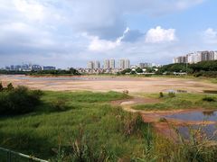 -立新湖公园